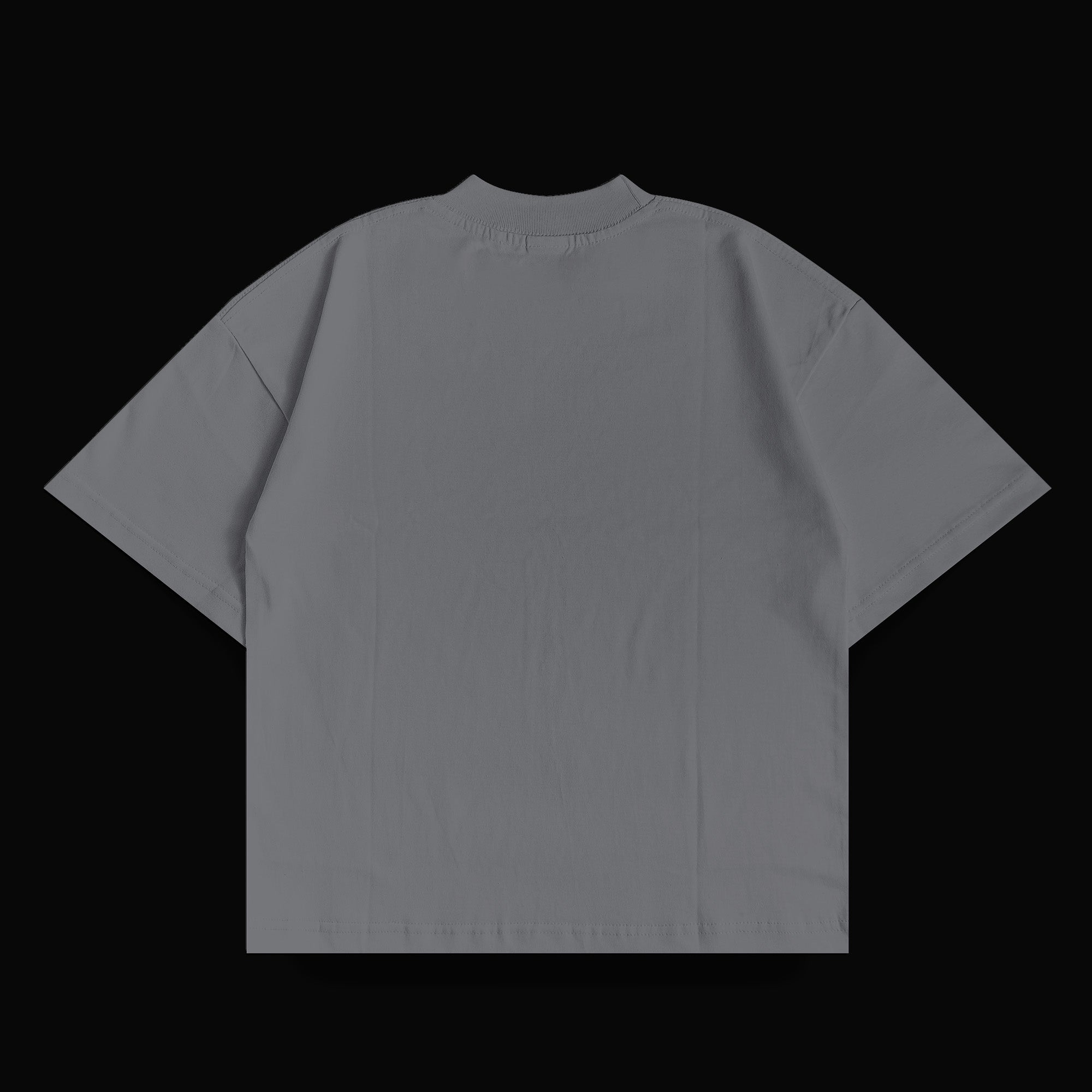 Ashen T-Shirt